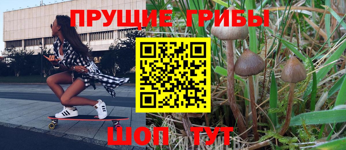 Псилоцибиновые грибы Cubensis Шарыпово